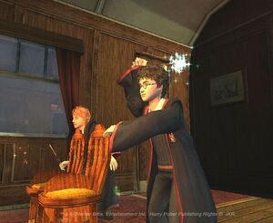 V3 Harry y Ron luchando