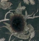 Marius Black fue desheredado y expulsado de su familia por su condición no magica de squib.