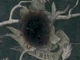 Marius Black