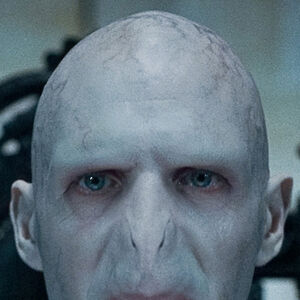 Mortifagos Harry Potter Wiki Fandom