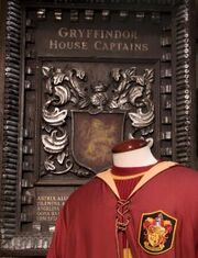 Capitan Gryffindor