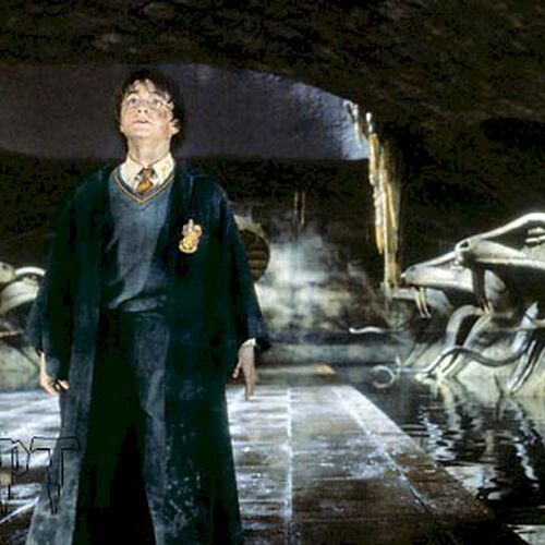 Señal Discriminatorio Invertir Cámara de los Secretos | Harry Potter Wiki | Fandom