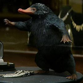 Sneaky Niffler FB