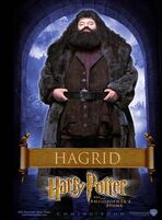 Poster Hagrid