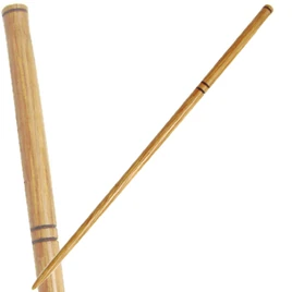 Ron weasley first wand