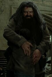 Hagrid abrazando a Harry luego de la batalla.