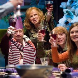 P5 weasley christmas