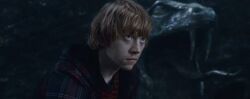 P7 Ron-Weasley-Clever