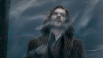 Casa Black Harry Potter Wiki Fandom
