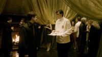 Fiesta de Navidad del Club de las Eminencias | Harry Potter Wiki | Fandom