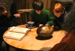 Harry y Ron con el huevo de dragón.