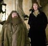 P4 Hagrid y Olympe.jpg