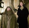 P4 Hagrid y Olympe