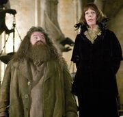 Hagrid y Olympe