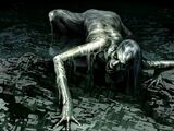 Inferius
