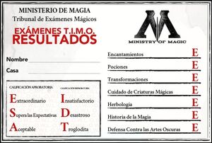 HM Resultados TIMO.jpg