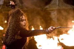 Bellatrix Lestrange HBP