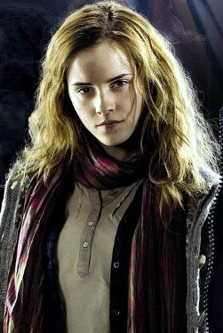 pansy parkinson and hermione granger