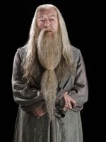 P6 Imagen promocional de Albus Dumbledore I