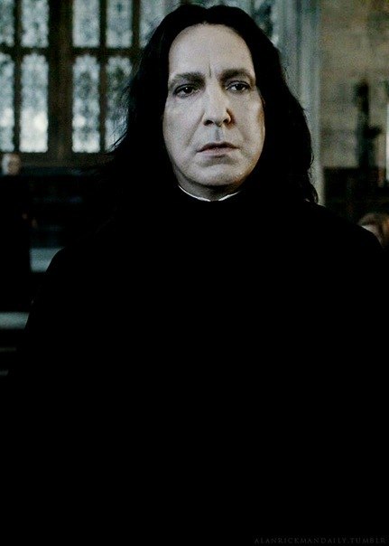 Gruñón Turista Pickering Severus Snape | Harry Potter Wiki | Fandom