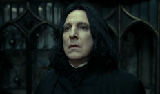 Severus Snape slider enero