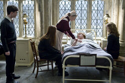 P6 ron ginny hermione harry pomfrey hospital