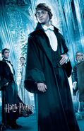Harry potter and the goblet of fire 2005 57 poster