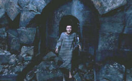 Bellatrix escapes Azkaban