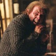 Peter Pettigrew