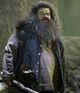 Rubeus Hagrid