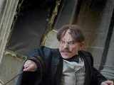 Filius Flitwick