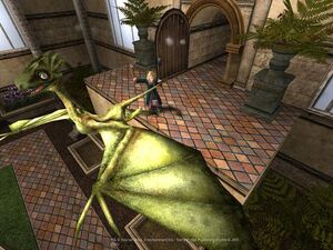 V3 Dragón draconifors