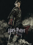 Pottergoblet-8.jpg (72 kB) Poster de Harry