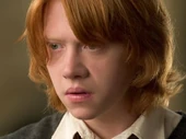 Ron Weasley (Tesorero)