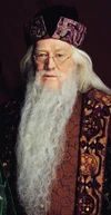 Albus Gran Hechicero