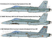 Profile of aircraft represented