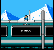 "Mega Man 4", Planificación: bajo el apodo de Bamboo.