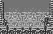 GreyDevilPelea