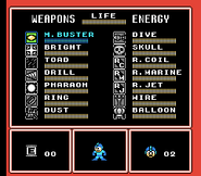 "Mega Man 4", NES.