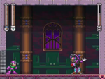 Shademan fight-0