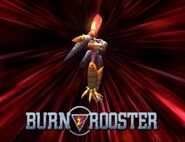 Burn Rooster.