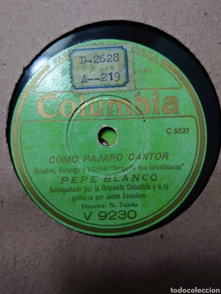 Como pajaro cantor Música Wiki Fandom