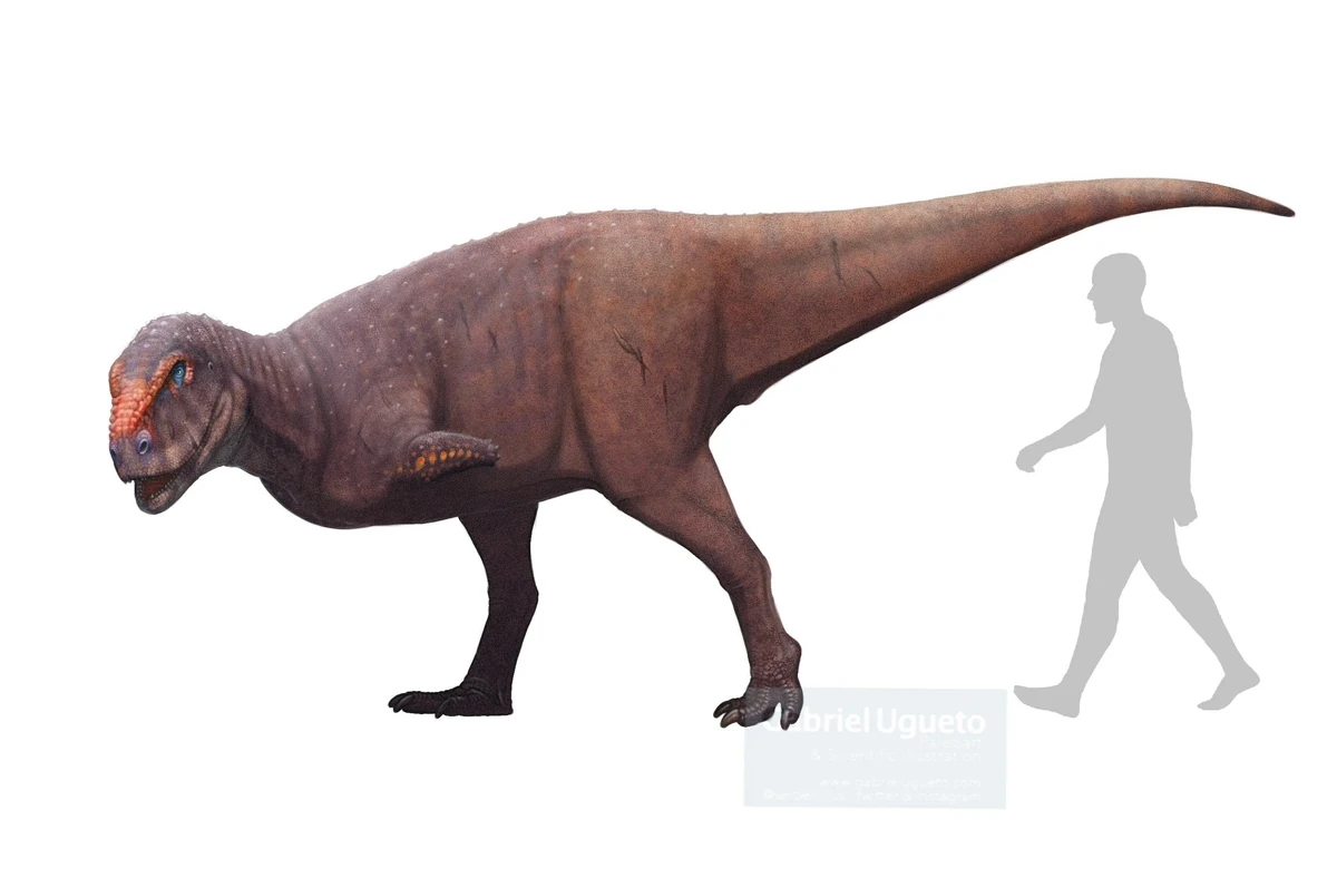 Skorpiovenator bustingorryi | Espèces de la Terre Wiki | Fandom