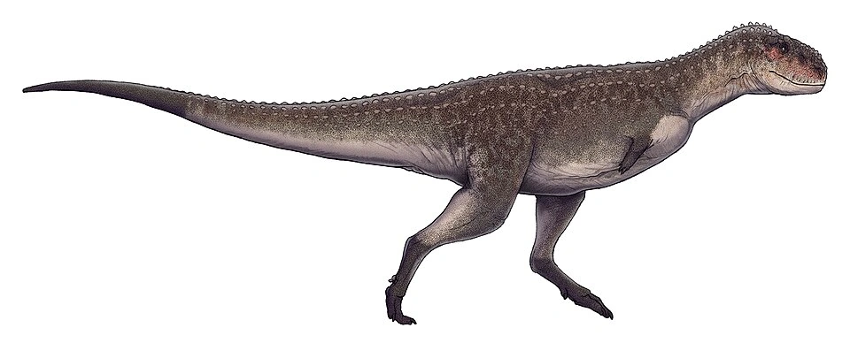 Viavenator exxoni | Espèces de la Terre Wiki | Fandom