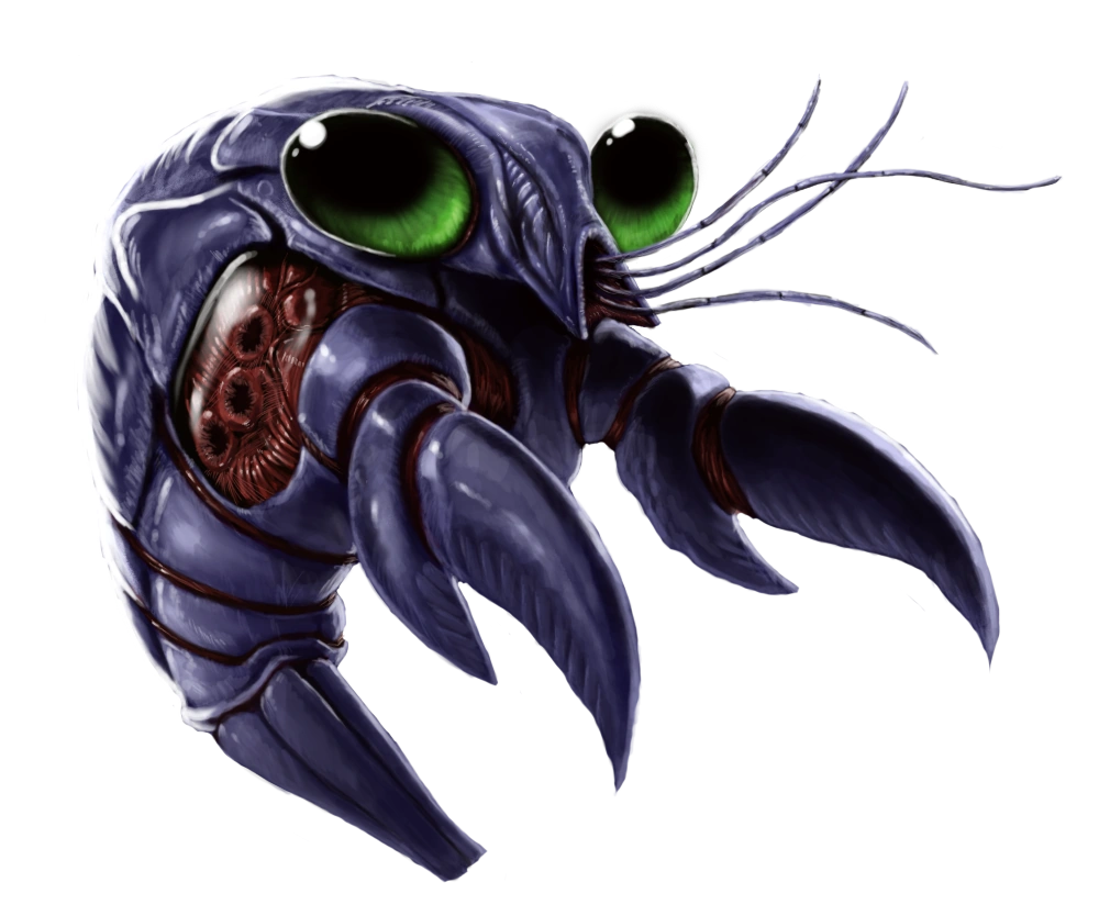 Zoa Especies Alienígenas Wiki Fandom