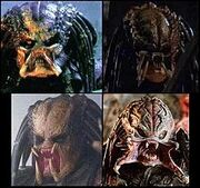 220px-Predator-unmasked