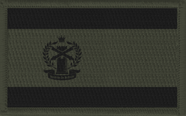 Jenkins Flag Patch