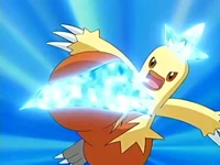 Combusken de May/Aura usando megapatada.