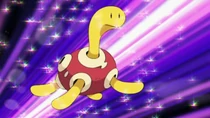 Imagen de Shuckle