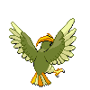 Imagen posterior de Pidgeotto variocolor macho o hembra en la quinta generación